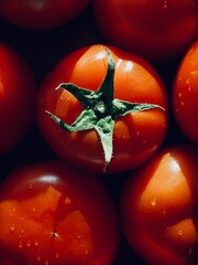 신선한 유기농 채소 빨간 토마토