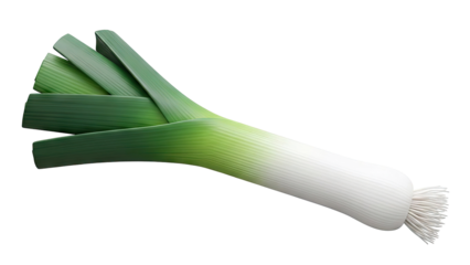 Single Leek Vegetable