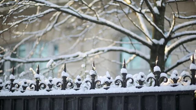 Close-up of a wrought iron fence and tree branches covered with fresh snow in Paris. Soft morning light illuminates the winter scene. Calm and serene seasonal atmosphere