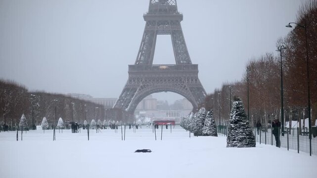 A dog rolls and plays in fresh snow during a heavy snowfall at Champ de Mars in Paris. The Eiffel Tower rises in the background, surrounded by snow-covered trees and a wintery cityscape