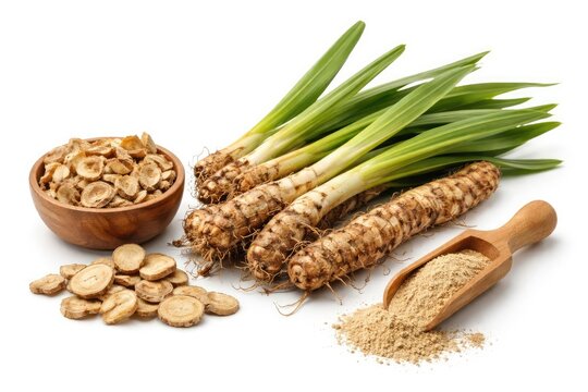 Natural Remedy Root Acorus Calamus Displayed on White Background