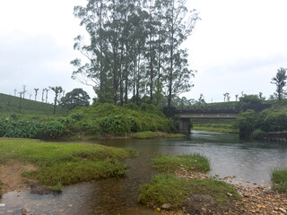 Obraz premium The gentle flow of the Koolangal River (also known as Kuzhankal River), winding through lush greenery and tea estates in Valparai, set against the serene backdrop of the Anamalai Hills.