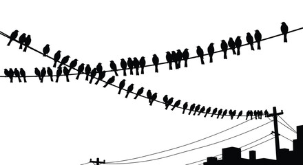 Urban silhouette scene of numerous birds resting on crossed telephone wires with city building outlines visible in the lower right corner.