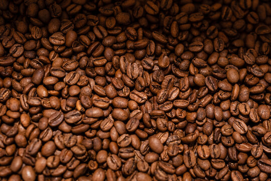 Close-up of freshly roasted coffee beans