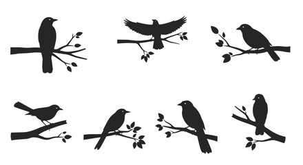 Fototapeta premium Collection of eight black bird silhouettes perched on tree branches in various poses isolated on a white background.