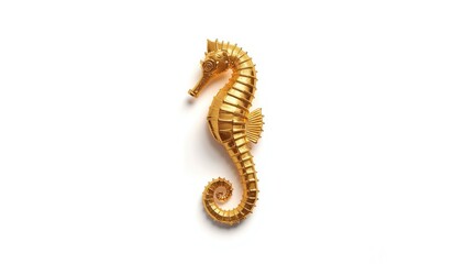 Golden seahorse against a plain white backdrop, used for marine life educational materials
