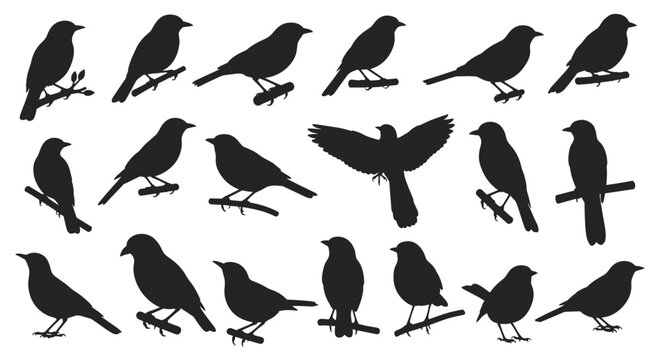 Large collection of songbird silhouettes perched on small branches in various poses on a clean white background.