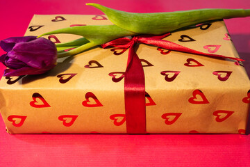 a brown gift box decorated with shiny red hearts and a red ribbon, topped with a single fresh purple tulip against a vibrant pink background.