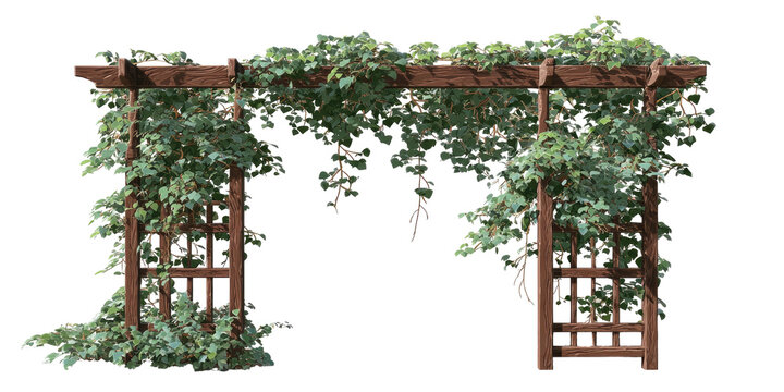 Wooden archway covered in lush green vines, perfect for a garden entrance or decorative feature