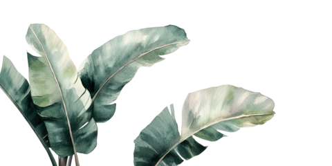 Watercolor illustration of tropical leaves on a black background, with soft shading and detailed veins