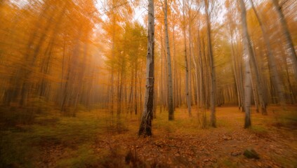 Colorful blurred forest with dynamic tree movement, ideal for editorial header backgrounds