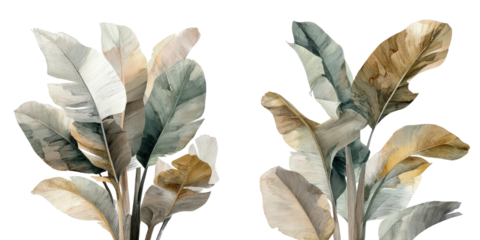 Watercolor illustration depicts tropical banana leaves in various shades