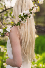 A beautiful girl with long blond hair in a blooming garden, a portrait among branches of apricot and cherry blossoms. Spring is the blossoming of femininity, beauty, and peace. View from the back, lon