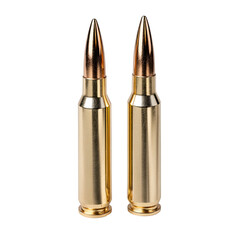 Two rifle cartridges, metallic, with gold-toned brass casings and pointed bullets, isolated on black