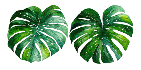 Two vibrant, tropical leaves with a watercolor effect and detailed veins against a stark black background