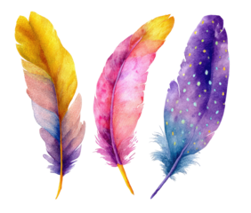 Watercolor illustration showcasing three vibrant, fluffy feathers with colorful hues on a black backdrop