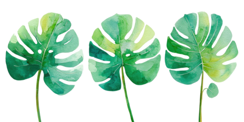Three watercolor-painted leaves with unique shapes, gradients of green, and yellow on a black background