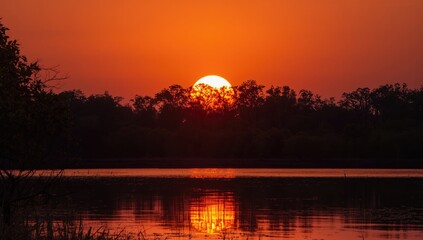 Sunset with a vast orange glow behind swamp cypress trees, highlighting natural landscape preservation