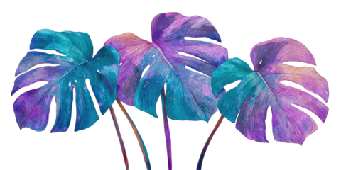 Lush, digitally enhanced image of four monstera leaves in vibrant turquoise and purple hues against black