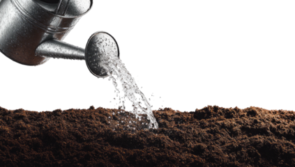 Metallic watering can pouring water onto dark soil. Close-up with black background