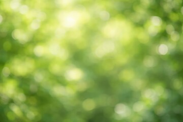 Obraz premium Diffused green foliage providing a natural blurred texture background