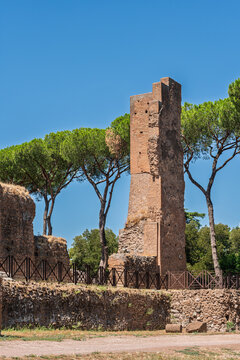 Italy - Rome - Domus Flavia - Ancient Roman brick tower ruins with stone walls and pine trees on the Palatine Hill imperial palace