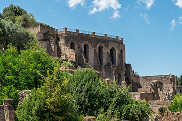 Obraz premium Italy - Rome - Domus Tiberiana - Ancient Roman imperial palace ruins with arched structures and vegetation on Palatine Hill