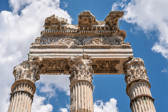 Italy - Rome - Temple of Venus Genetrix - Ancient Corinthian columns displaying ornate capitals stand tall within the Forum of Caesar ruins