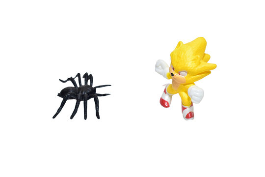 Shevchenkove. Kyiv region. Ukraine. 11. 27. 2025. Super Sonic is attacked by a black spider.