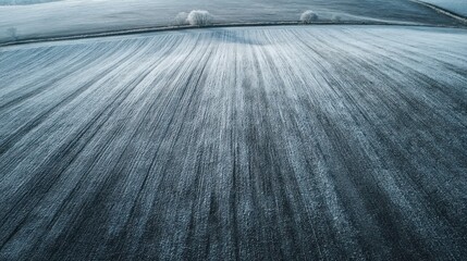 Aerial view of a frosty field with rows