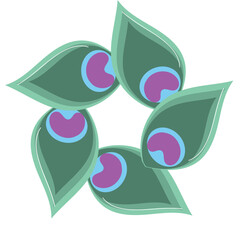 peacock feather pattern