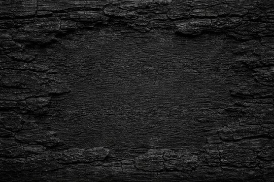 Charcoal bark texture with pronounced grain and copy space for template