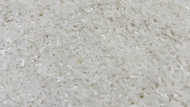 close up of white rice
