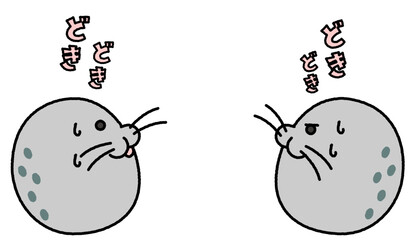 どきどきして見つめ合うアザラシのコミカルなイラスト © ribitts