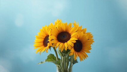Fototapeta premium Sunflower blossoms and petals displayed against a vivid blue backdrop, ideal for nature-themed layouts