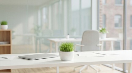 Bright modern minimalist home office workspace with laptop and small potted plants on white desk