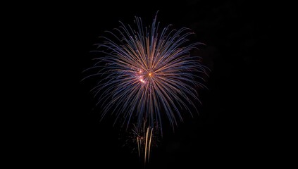 Obraz premium Colorful fireworks lighting up the night sky, serving as a visual backdrop for festivities