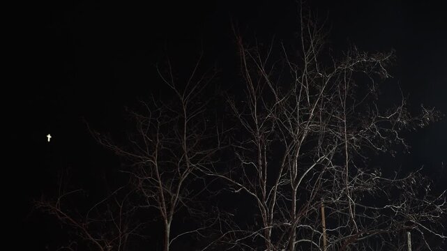 Bare Tree Branches on Dark Night Sky Background, Glowing Radiant Cross Symbolizing Faith
