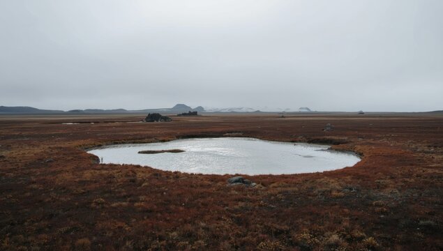 Flat, overcast terrain with no trees in fall hues close to Arviat, Nunavut, Canada, illustrating autumnal landscape