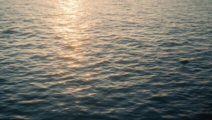 Sunlit ocean surface with wave patterns and golden hues, suitable for nature-themed layout backgrounds