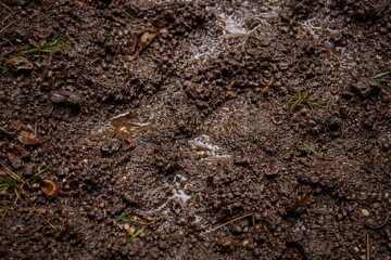 Moist ground texture showing soil after rainfall