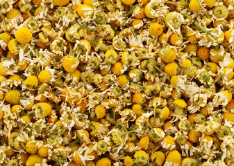 Dried chamomile flowers background
