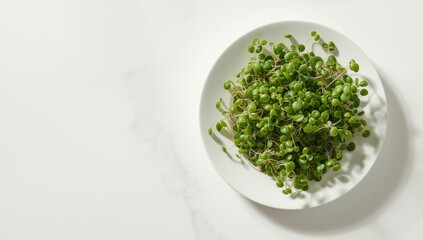 Close-up of micro greens arranged on a dish used as a garnish for enhanced visual appeal, food and presentation