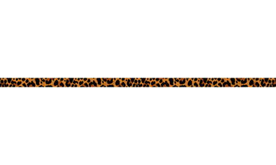 Leopard Print Horizontal Stripe, Wild Animal Pattern Design, Tiger print 