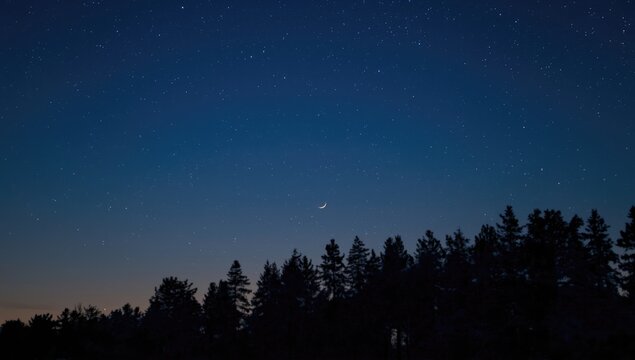 Night scene featuring crescent moon, stars, planets and tree outlines, suitable for astronomy-themed layouts