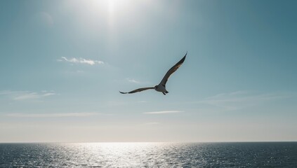 Obraz premium Seaside bird in flight against the sky, illustrating avian movement and open space