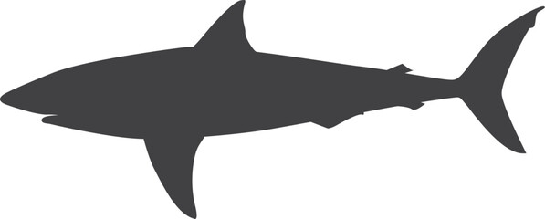 Shark Silhouette Vector