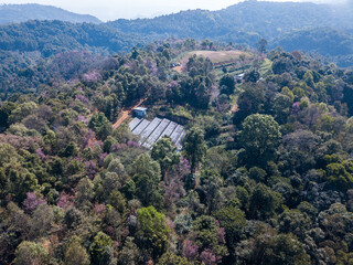 Aerial view of Doi Pangkhon mountain in Chiang Rai province, Thailand. This mountain has rich mineral and soil for growing unique coffee.