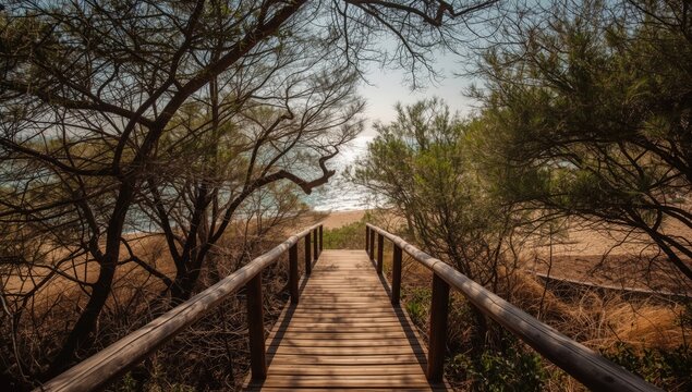 Narrow wooden walkway with railing along Santa Lucia del Este beach in Uruguay, facilitating beach access and safety