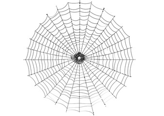 Obraz premium A complete radial spider web on a light background, highlighting the incredible natural engineering of an arachnid.